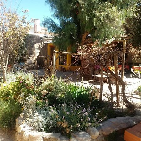Andino Hostel ティルカラ エクステリア 写真