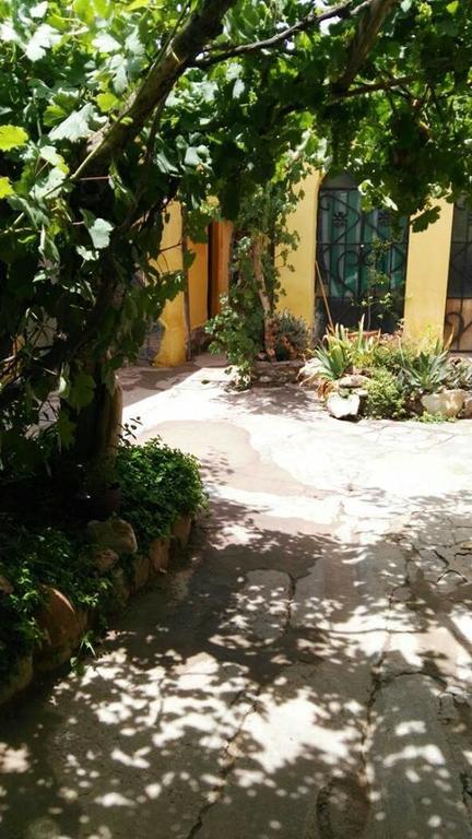 Andino Hostel ティルカラ エクステリア 写真