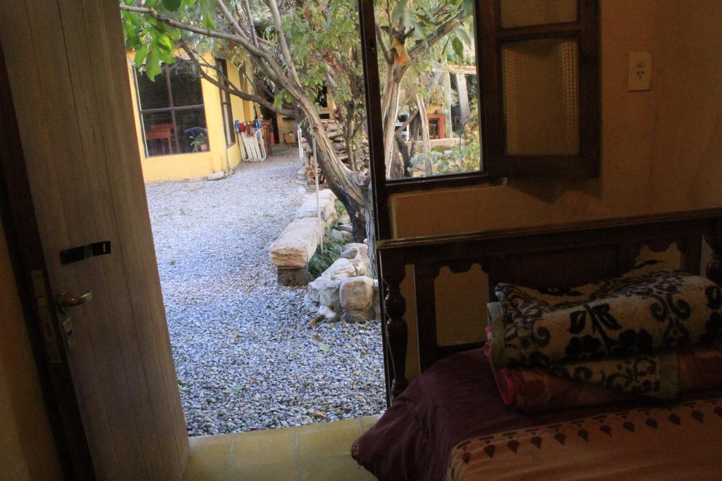 Andino Hostel ティルカラ エクステリア 写真