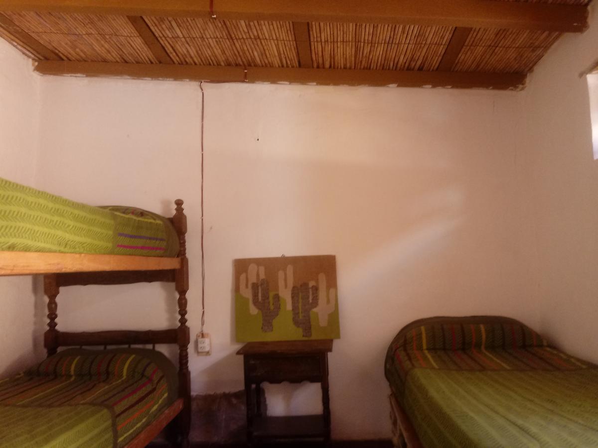 Andino Hostel ティルカラ エクステリア 写真